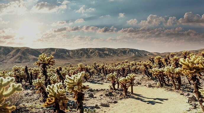 Screenshot_20210110-132548__01__01