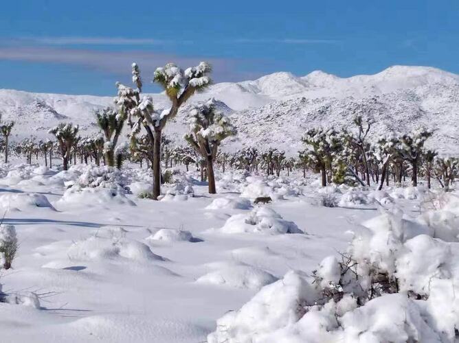 微信图片_20210110121200