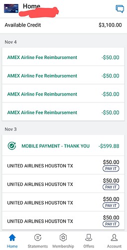 Screenshot_2020-11-15-12-29-27-237_com.americanexpress.android.acctsvcs.us~2