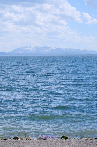 DSCF3061