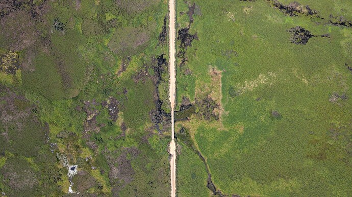 DJI_0550.MP4_20220824_161507.573