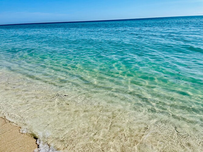 微信图片_20230314014128