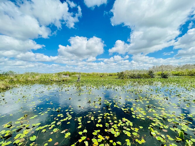 微信图片_20230314014200