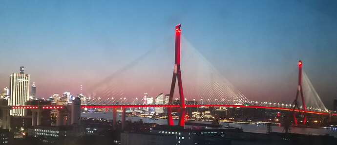 yangpu_bridge1