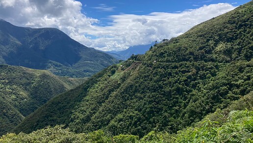 IMG_3857