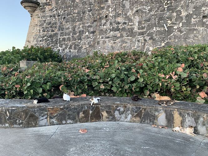 eff13934e29af8fd9d76a3bc29f7c47