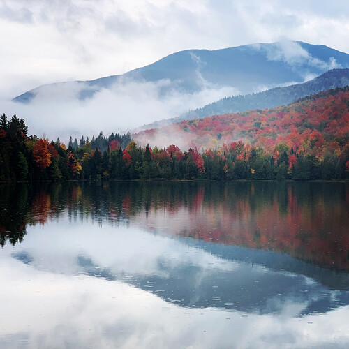 54f956d81a16a814f7c3ec221002d95