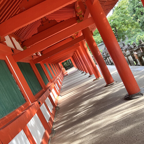 4D7004BA-37C2-4498-AF9B-29E3543130F0_1_201_a