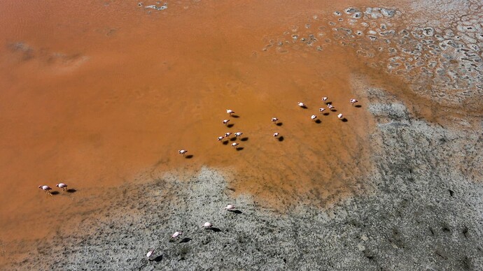 DJI_0050.MP4_20220604_175129.705