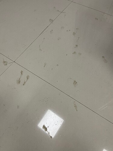 郓城防疫观测点13-脏地板2