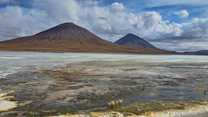 DJI_0055.MP4_20220604_174133.116