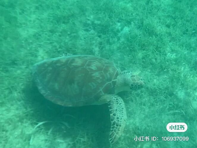 834c345db2297accbae27c309b19f8d