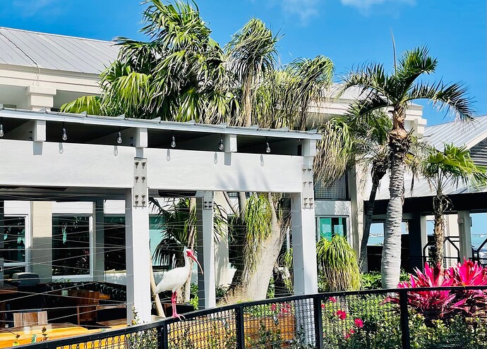 微信图片_20230314021757