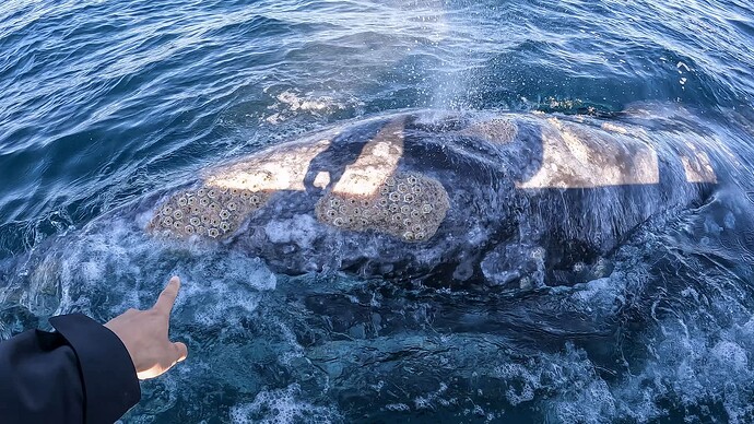 GX010016.MP4_20221215_204341.655