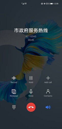 Screenshot_20220103_125903_com.android.incallui