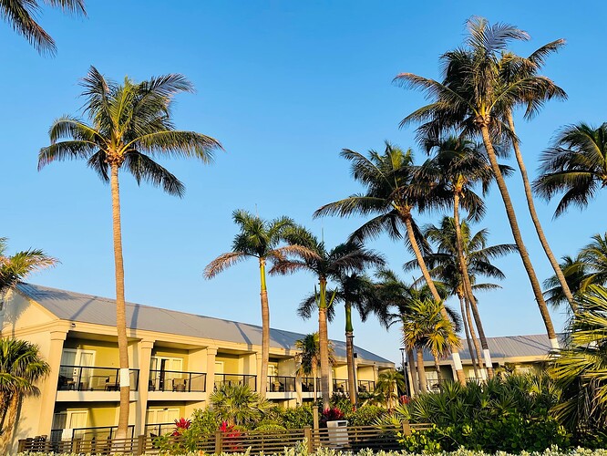 微信图片_20230314021752