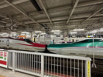 IMG_6437