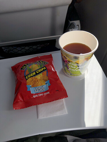 Flight DUD to AKL 3.HEIC