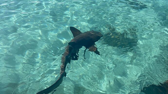 d915eaf30ddbd87a3f150235bff55ed