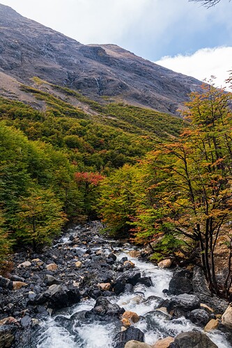 DSC_0446_EDIT