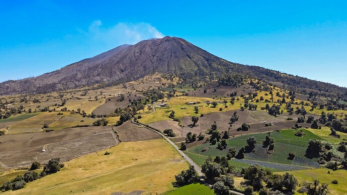 DJI_0009.MP4_20220315_112737.858