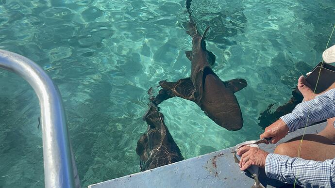 89aafde67cf540d88301e58f7c7034e