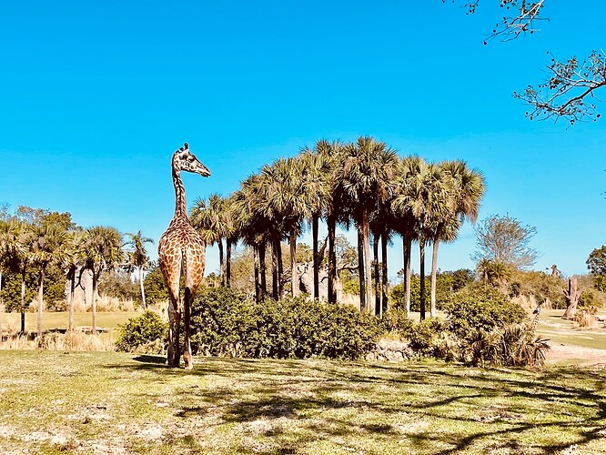 微信图片_20230314010303