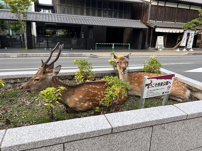 E3DD3A5E-6A2B-45C8-BA19-A8FE69F8F2AF