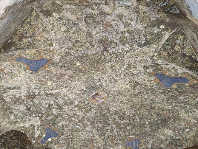 PXL_20221216_094326550
