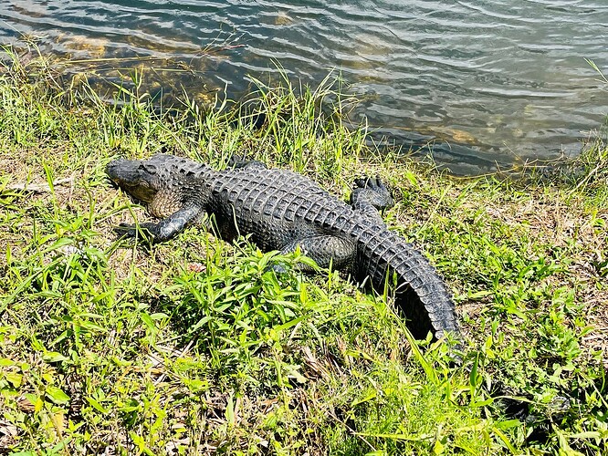 微信图片_20230314014211