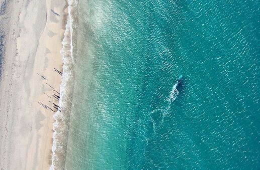 1657403457248_副本