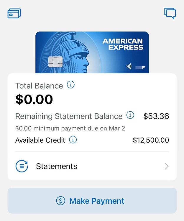 Amex Remaining Statement Balance Total Balance amex-remaining-statement-balance-total-balance