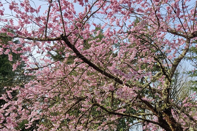 IMG_20220324_163316~2