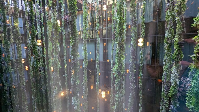 PXL_20230709_073412927