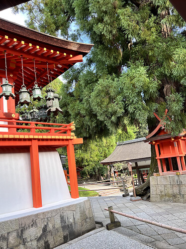 76737F43-E0AA-4EAE-8E28-2207BD5781BB_1_201_a