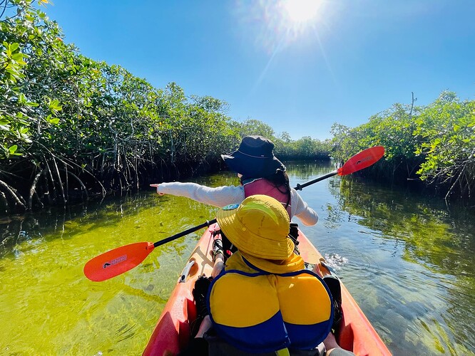 微信图片_20230314021735